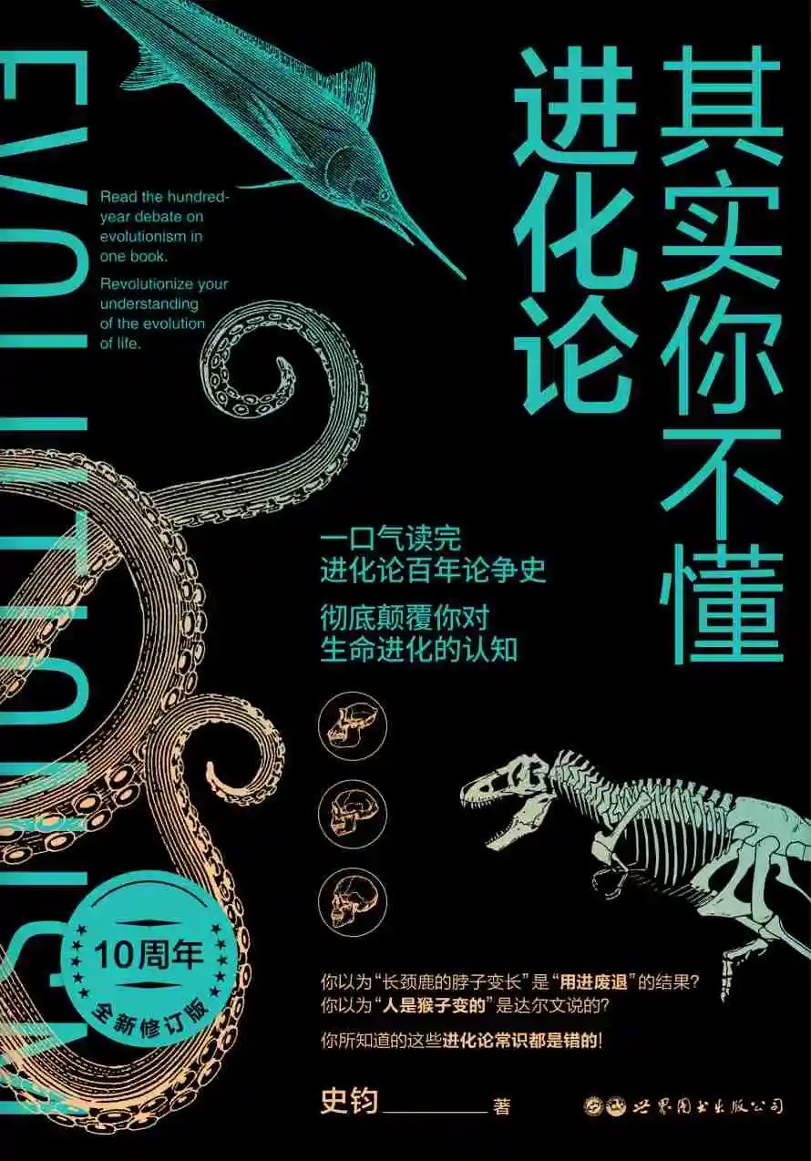 6 6.jpg?v=1762676192007