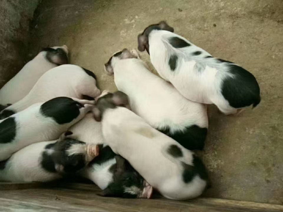 图片 3 图片 3.png