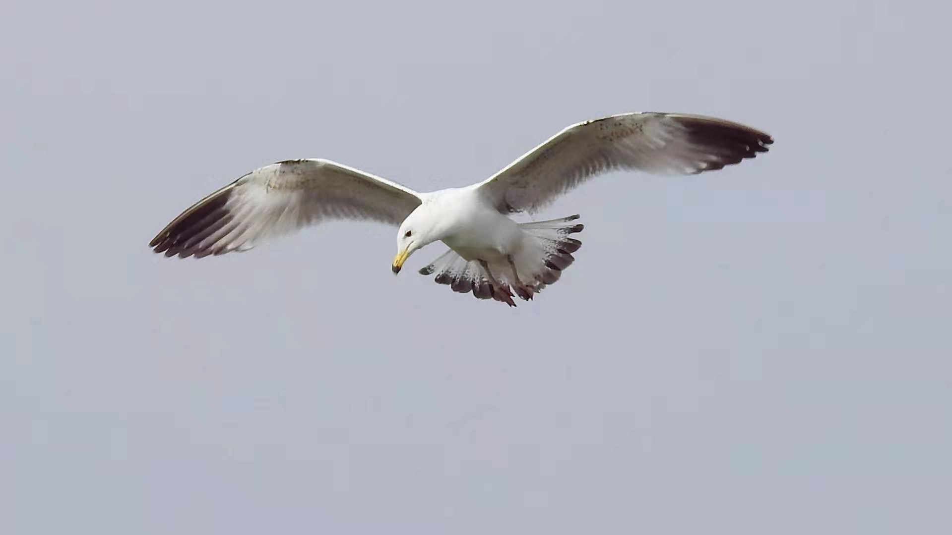 70089ccffb7b9f83cfb9f060d4f8f98 70089ccffb7b9f83cfb9f060d4f8f98.jpg