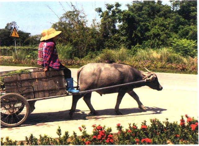 pagenumber_ebook=145,pagenumber_book=138