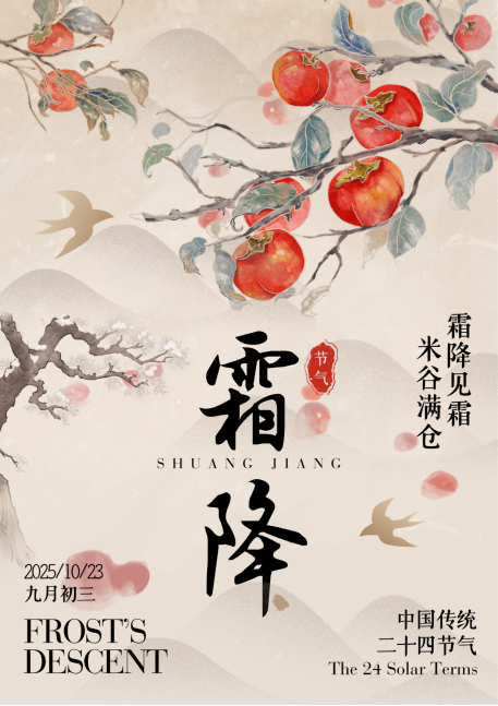 image.png?v=1770168804482