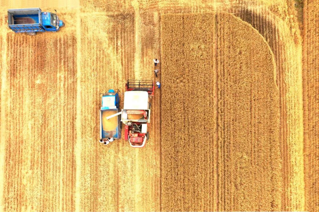 微信图片_20211128110334