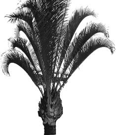 pagenumber_ebook=117,pagenumber_book=117