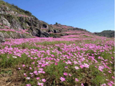 微信图片_20200614094938 微信图片_20200614094938.png