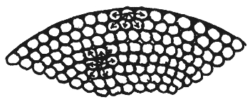 pagenumber_ebook=163,pagenumber_book=159