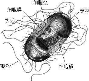 pagenumber_ebook=13,pagenumber_book=13