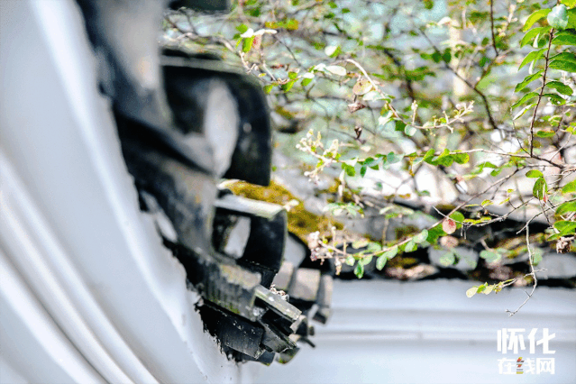 微信图片_20210930100024 微信图片_20210930100024.gif