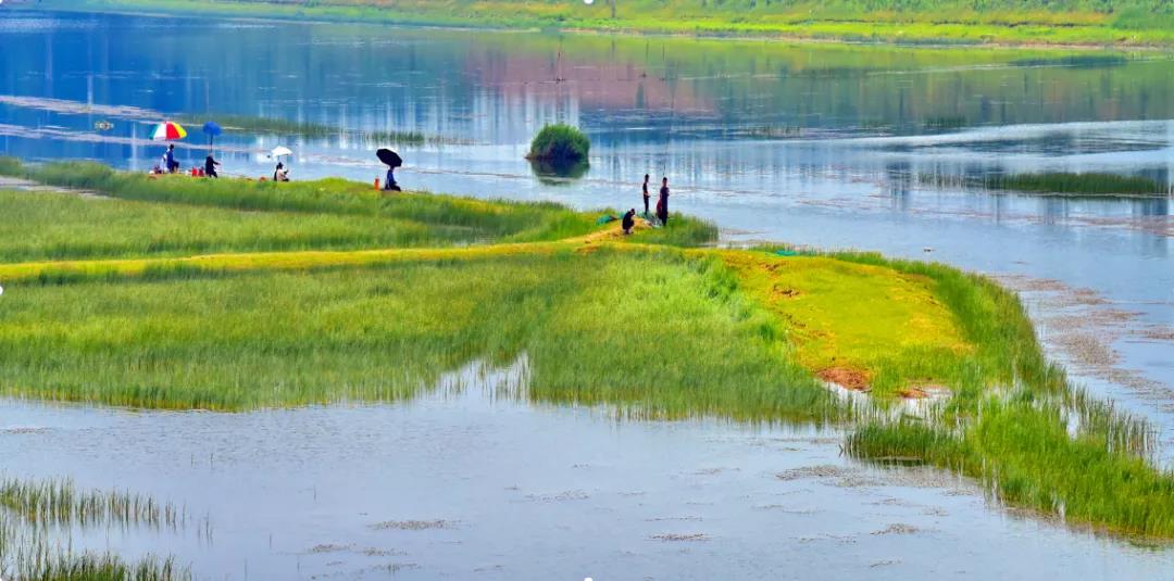 微信图片_20211222112534 微信图片_20211222112534.jpg