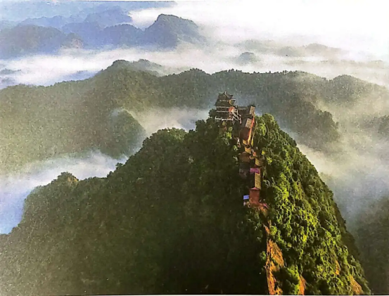 image image.png?v=1770186311307