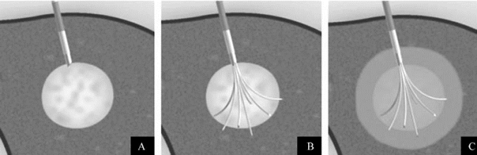 pagenumber_ebook=289,pagenumber_book=274