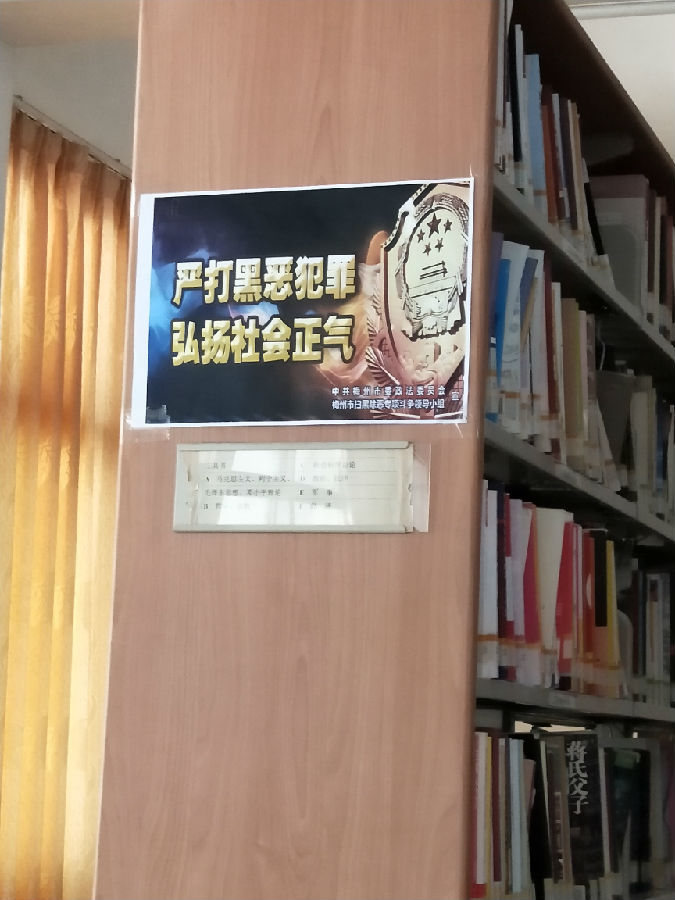 545326529847379625.jpg?v=1765823867755