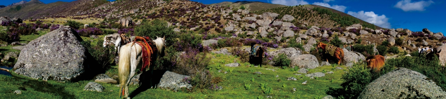 pagenumber_ebook=92,pagenumber_book=80