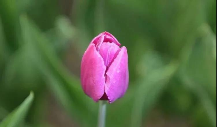 微信图片_20210329153320 微信图片_20210329153320.jpg