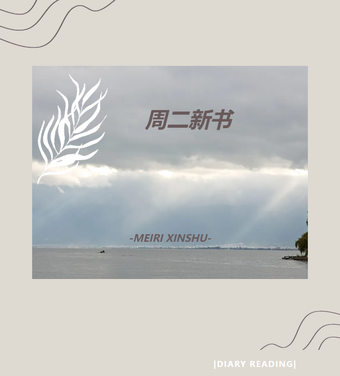 image.png?v=1746278795666