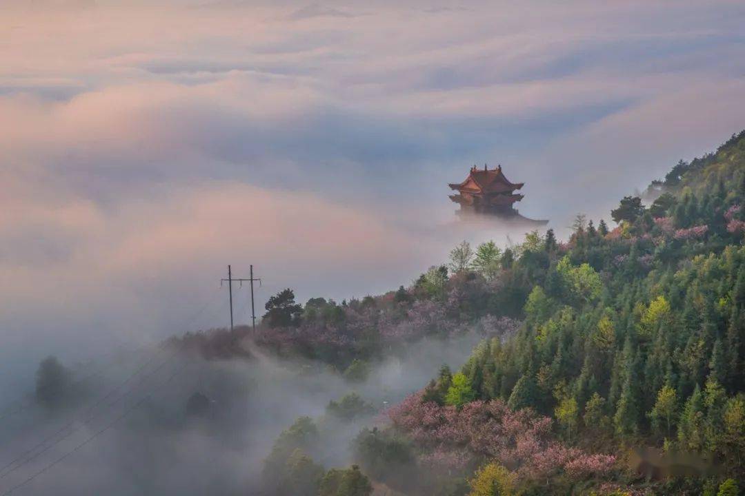 644689cc6301457ba4095c553e171e60 644689cc6301457ba4095c553e171e60.jpeg