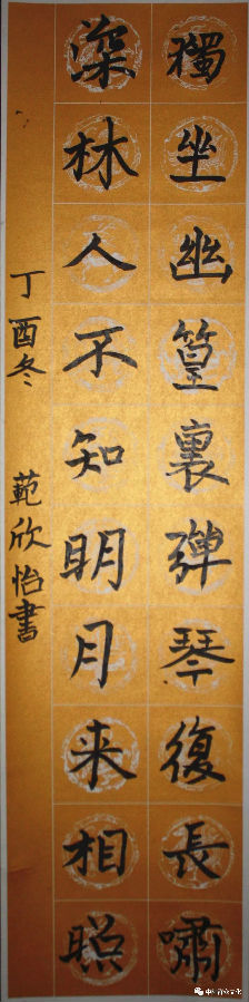 640.webp (25).jpg?v=1764880113128