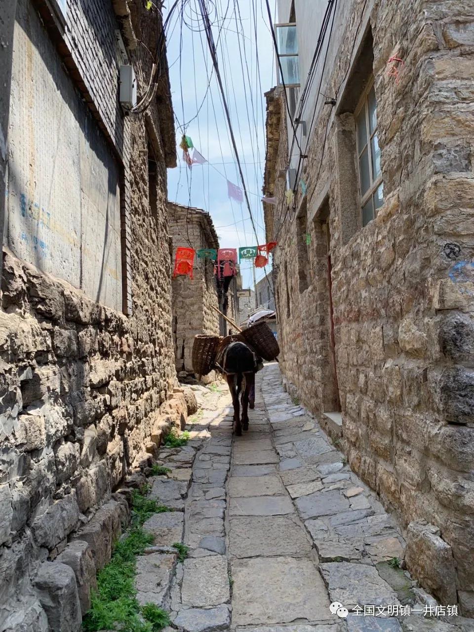 微信图片_20210624085459