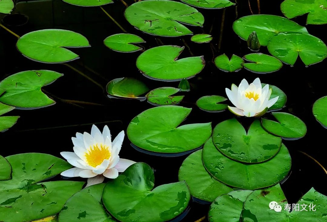 微信图片_20221009095406