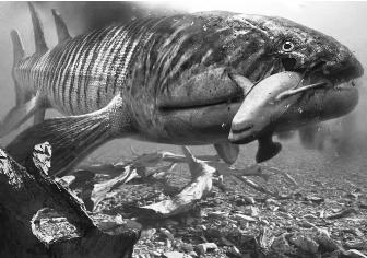 pagenumber_ebook=143,pagenumber_book=143