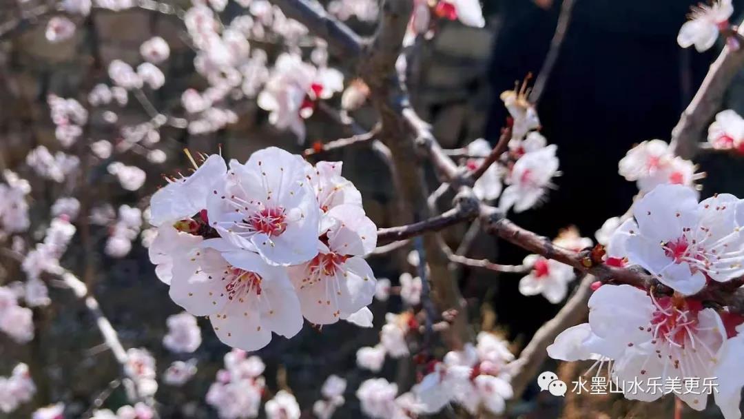 微信图片_20210404214017 微信图片_20210404214017.jpg