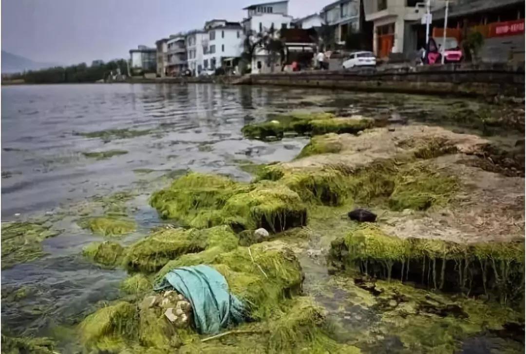 微信图片_20201022154658 微信图片_20201022154658.jpg