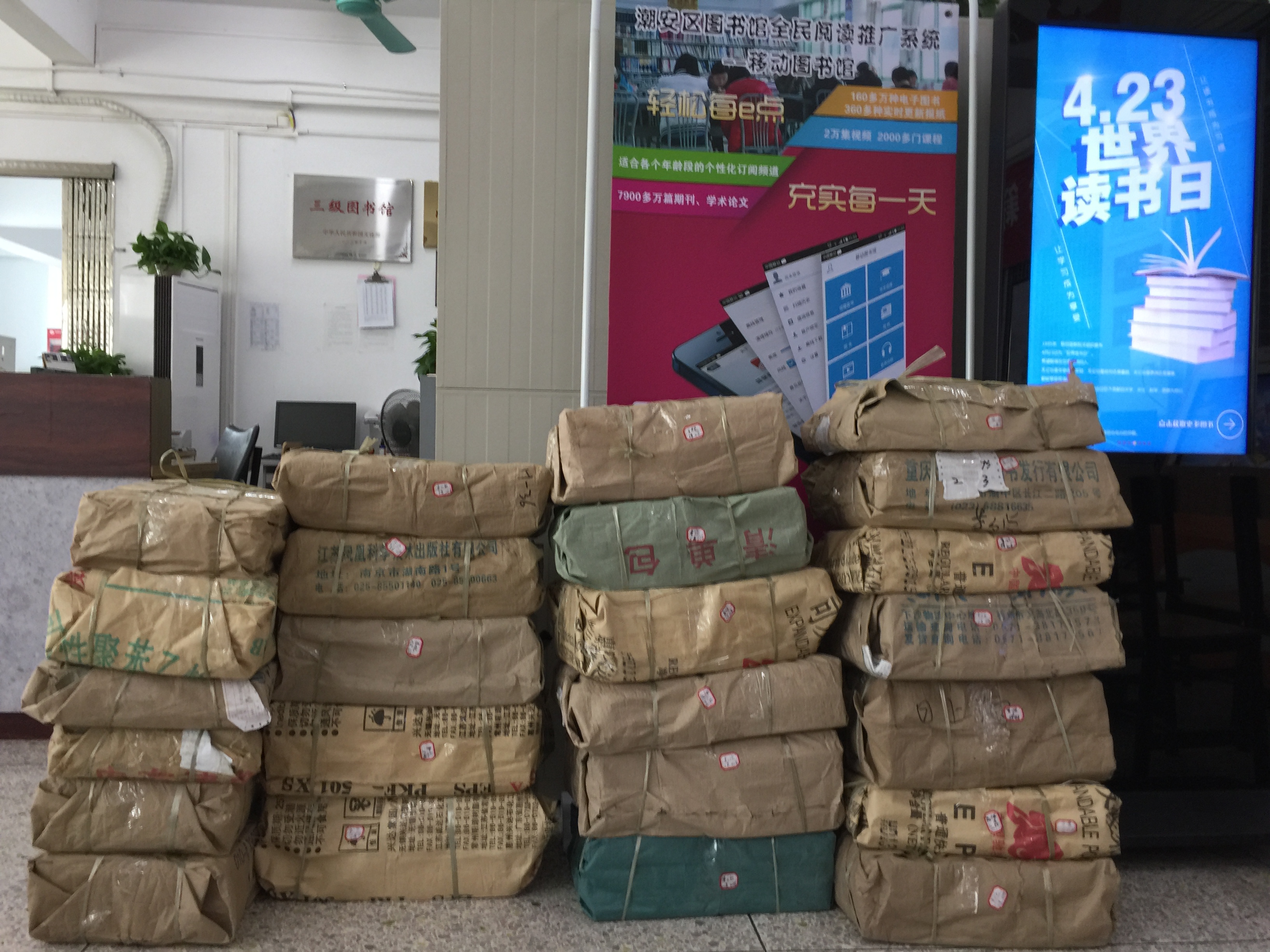 IMG_0296 IMG_0296.jpg?v=1762673325634