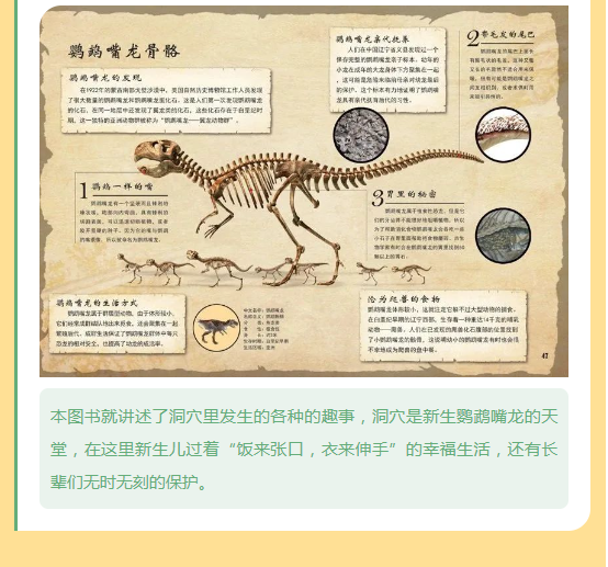 image.png?v=1750240592262