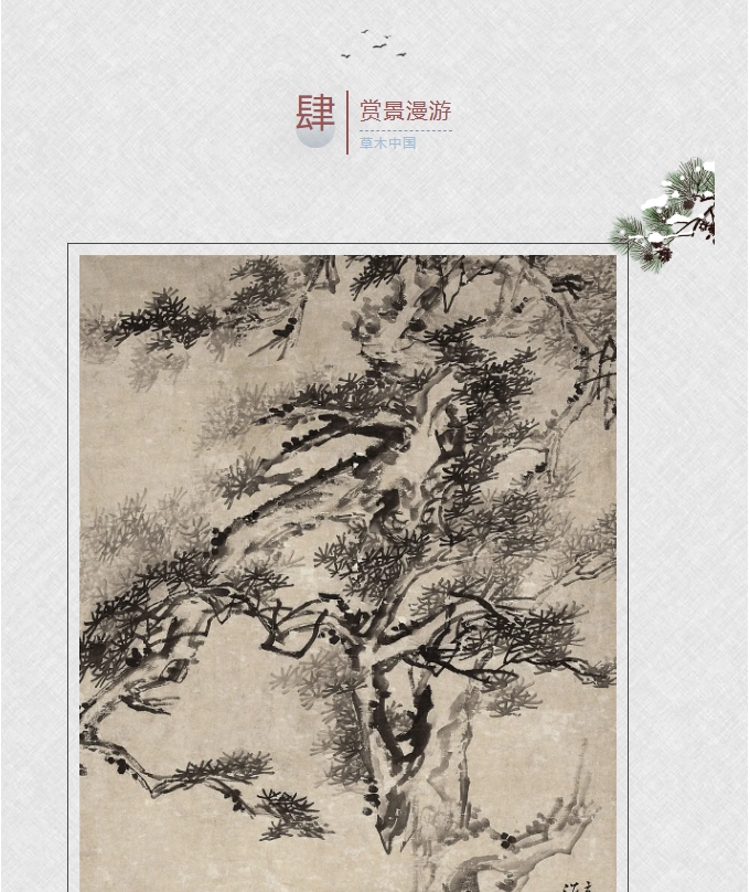 image.png?v=1762099906174