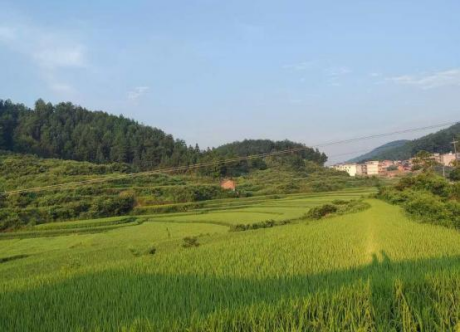 图片 30 图片 30.png