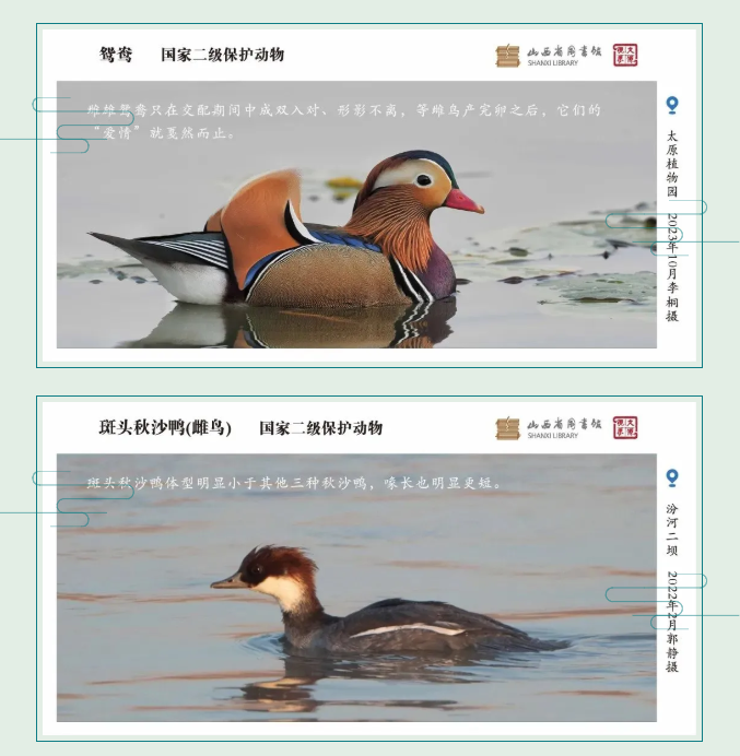 image.png?v=1757830673198