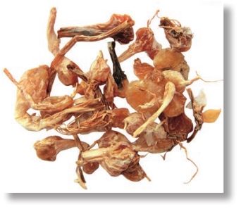 pagenumber_ebook=146,pagenumber_book=133