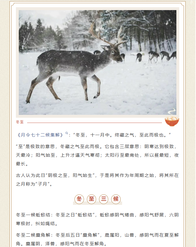 image.png?v=1770177741106