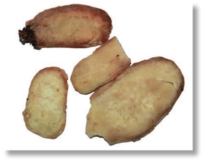 pagenumber_ebook=200,pagenumber_book=187