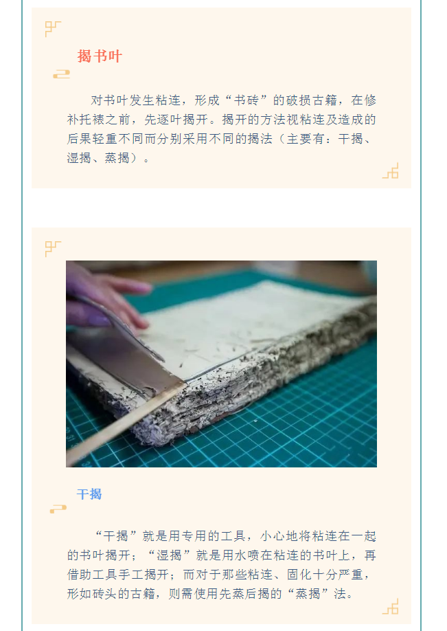image.png?v=1754275719565