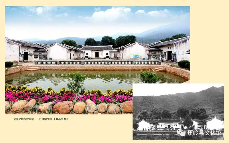 11 11.jpg?v=1766027565543