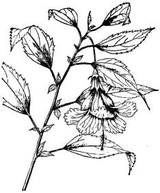 pagenumber_ebook=156,pagenumber_book=156