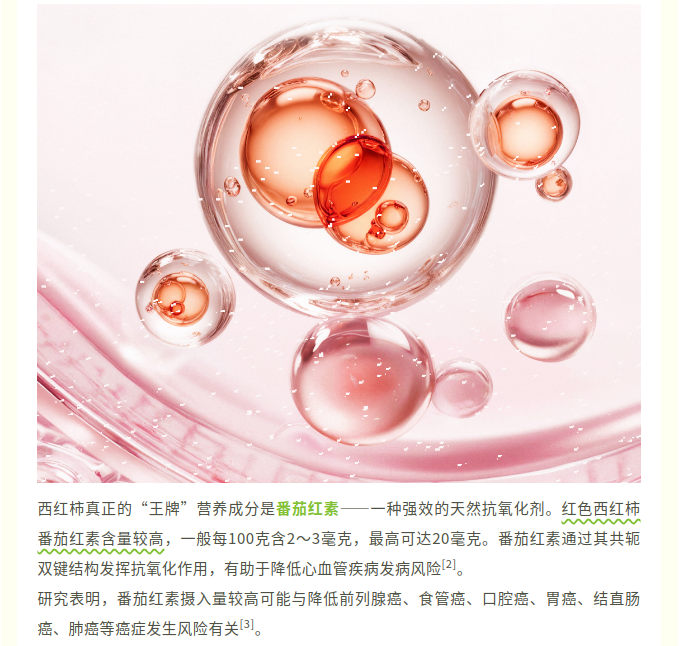 image.png?v=1785048961388