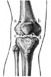 pagenumber_ebook=233,pagenumber_book=215