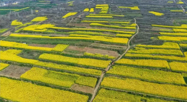 1ab65bf8893a6ca4d7016a14563eff1c 1ab65bf8893a6ca4d7016a14563eff1cpng