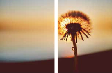 pagenumber_ebook=187,pagenumber_book=180