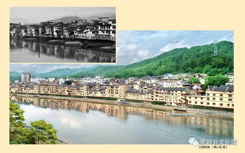 20 20.jpg?v=1766027565543