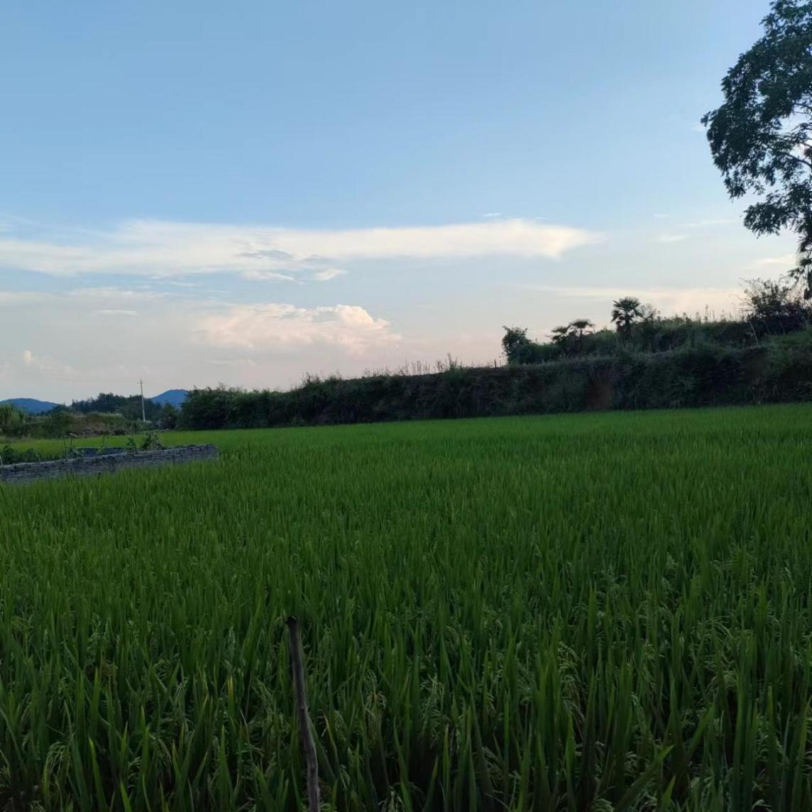 wps_doc_12 wps_doc_12.jpeg