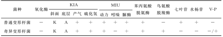 pagenumber_ebook=61,pagenumber_book=54