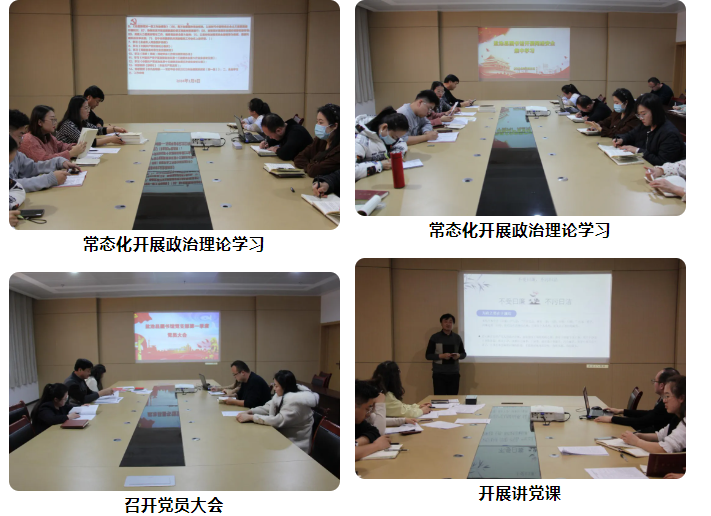 image image.png?v=1763574342390