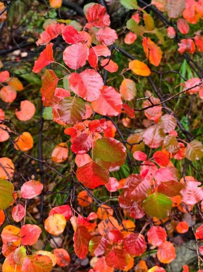 4a1e09f88edb0813b900d7f06b3da0ab 4a1e09f88edb0813b900d7f06b3da0ab.png