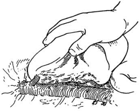 pagenumber_ebook=472,pagenumber_book=457