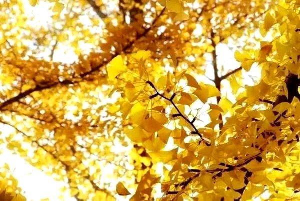 微信图片_20201214173818