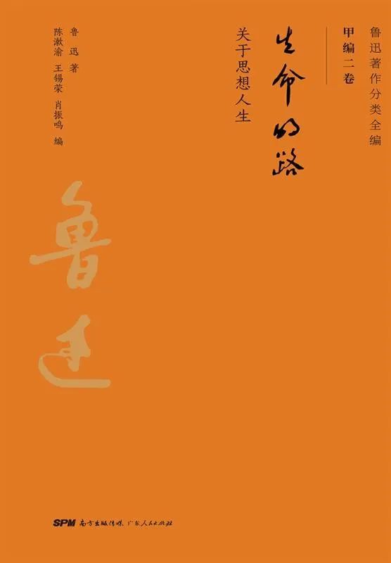 15 15.jpg?v=1762944839069