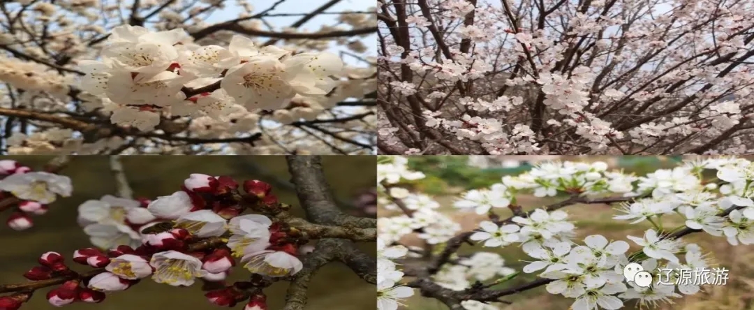 640.webp (3) 640.webp (3)