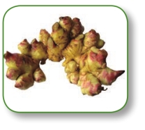 pagenumber_ebook=173,pagenumber_book=160